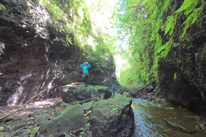 Bali Canyoning Trip – Explore Hidden Waterfalls & Gorges - Why this North Bali canyoning day feels different than typical tours