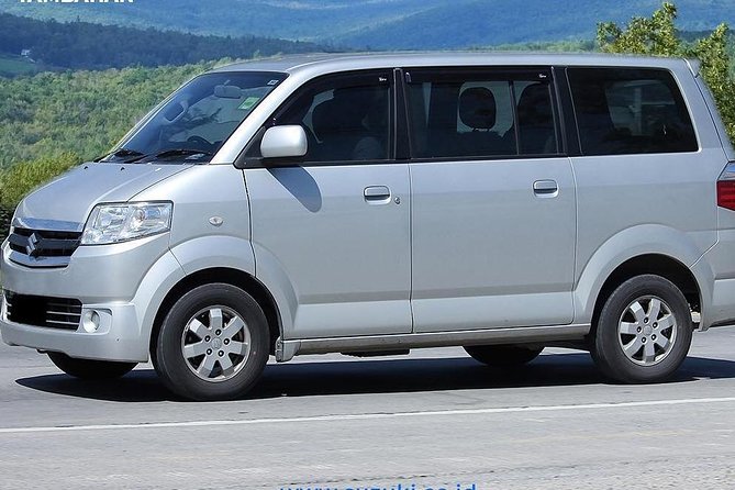 Bali Car Charter Your Own Tour Initenery - Goa Gajah (Elephant Cave): a quieter, more archaeological-feeling stop