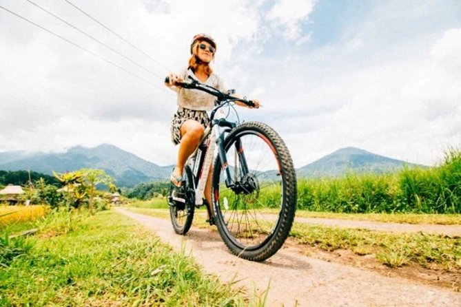 Bali Countryside Cycling Tour by Halo Bike Tour - Pickup, AC van comfort, and a group size that doesn’t crush the vibe