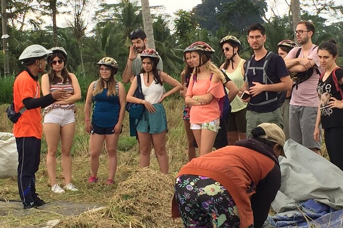 Bali Countryside Cycling Tour by Halo Bike Tour - Guides and storytelling: why this isn’t just a bike rental day