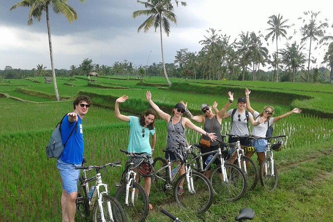 Bali Countryside Cycling Tour by Halo Bike Tour - Coffee plantation stop: culture before the saddle