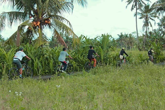 Bali Countryside Eco Cycling Tour include Lunch - Key things to know before you pedal