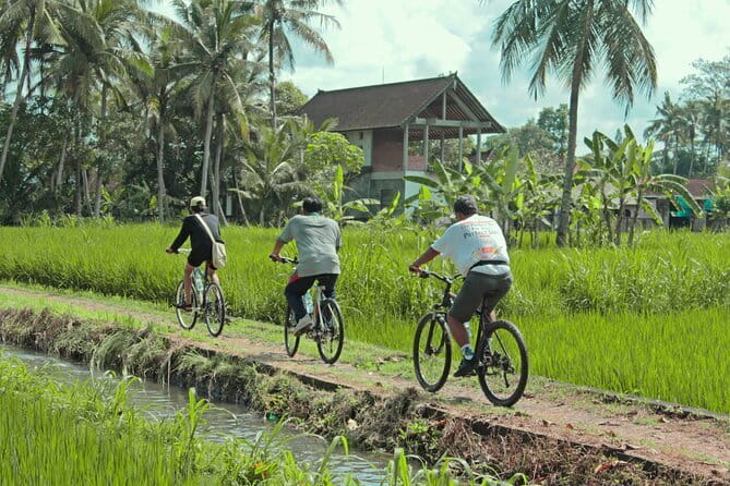 Bali Countryside Eco Cycling Tour include Lunch - How the Ride Really Feels: Easy Downhill With Bumpy Sections