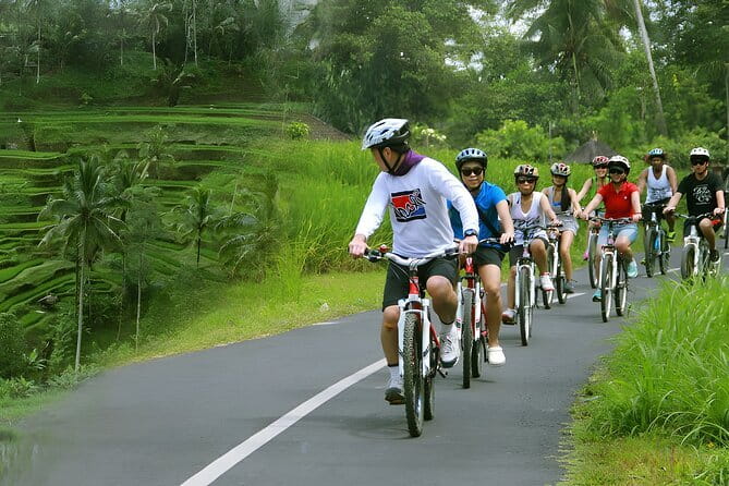 Bali Countryside Eco Cycling Tour include Lunch - Batu Sepih Cooking Demonstration: The Part You’ll Remember