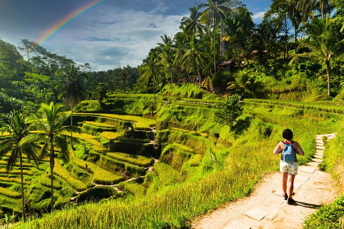 Bali Cultural Experience - Tegalalang Rice Terraces: emerald views and that swing moment
