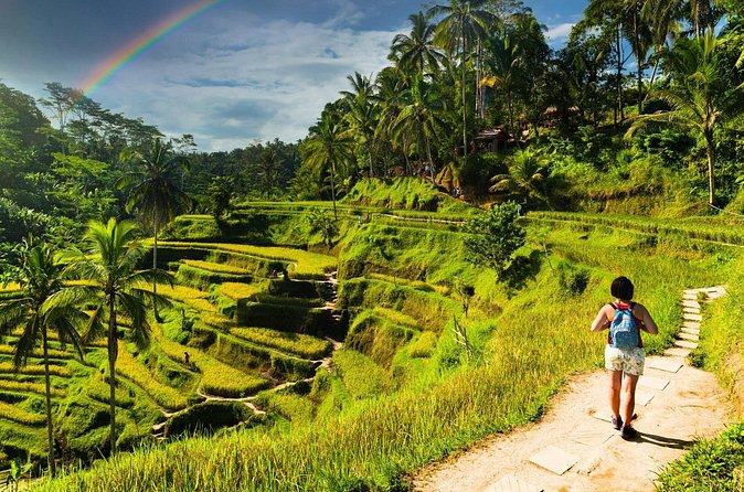Bali Cultural Experience - Price and value for $59: what’s included, what’s on you