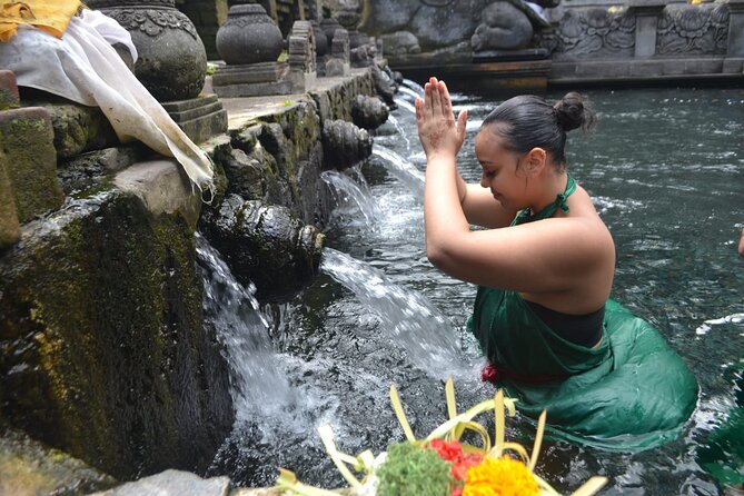 Bali Culture And Spring Temple Private Guided Tour - A full Ubud culture circuit built for comfort (not rushing)
