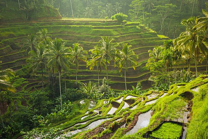 Bali Customized Private Tour - Seminyak pickup: where your flexible day actually starts