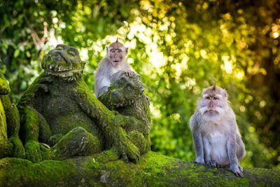 Bali Customized Private Tour - The main sightseeing block: making good use of the 8–10 hour window