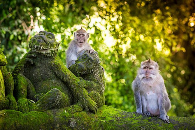 Bali Customized Private Tour - The main sightseeing block: making good use of the 8–10 hour window