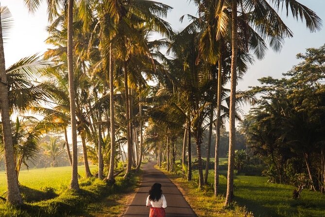 Bali Customized Tour Private Car and Driver - Your customizable Bali route: Ubud first, then south Bali icons