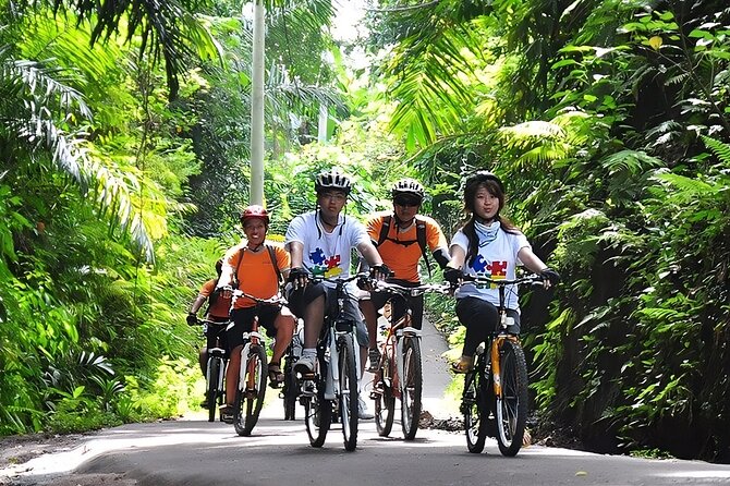 Bali Cycling and Ubud Waterfall Tour - 7:30 a.m. timing: a full day with three types of stops