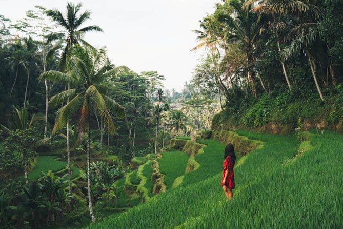 Bali day trip : Batur Sunrise Hike and Hot Spring All inclusive - What to expect on a 10 to 12 hour schedule