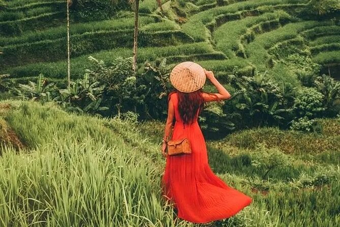Bali Day Trip to Ubud Highlight Tour and Tanah Lot Temple - How the guide’s style shapes your actual day