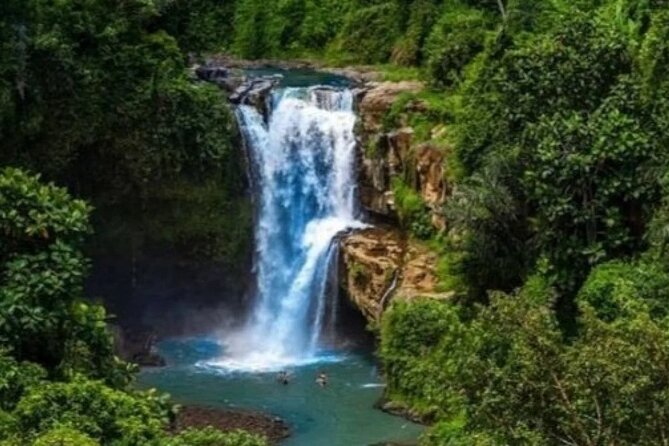Bali Day Trip to Ubud Highlight Tour and Tanah Lot Temple - Lunch, tickets, and the small details that affect comfort
