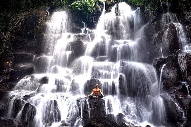 Bali Day Trip: Ubud Temples & Hidden Waterfalls - Tegalalang Rice Terrace: traditional irrigation and photo-friendly paddies
