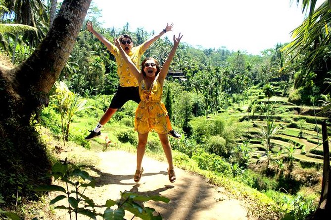 Bali Day Trip: Ubud Temples & Hidden Waterfalls - Who should book this Bali day trip to Ubud temples and waterfalls?