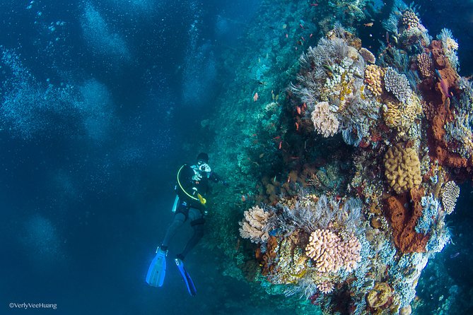 Bali Diving Day Trip-Manta Point/Tulamben Shipwreck-Fun Dive - From Seminyak to Tulamben: how the day is paced