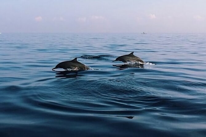 Bali Dolphin Lovina tour and Ulundanu Beratan - Ulun Danu Beratan Temple at 10:30 a.m.: the photo stop with payoff
