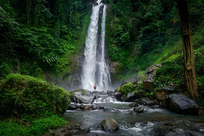 Bali Dolphin Watching Sunrise Tour in Lovina Beach - Lake Tamblingan and Lake Buyan: Views That Match the Bedugul Feel