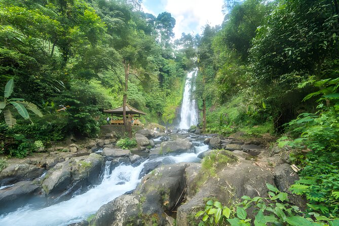 Bali Dolphin Watching Sunrise Tour in Lovina Beach - Git Git Waterfall: A Short Nature Break Before Bedugul