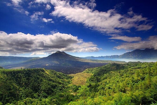 Bali Full-Day Car Charter: Ubud and Kintamani Volcano Trip - Key Things That Make This Ubud + Kintamani Day Work