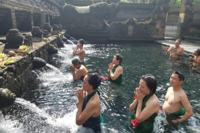 Bali Full Day Holy Water Tour - Tegenungan Waterfall: View Up High or Walk Down to Get Wet