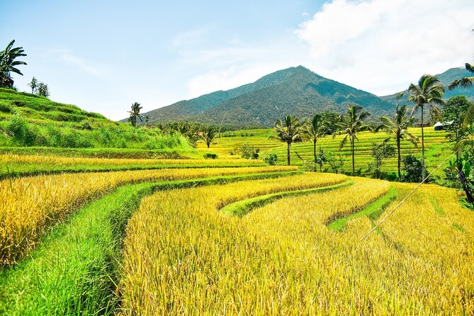 Bali Full-Day Private Customize Tour - Uluwatu Temple: Ocean Cliffs and a Hindu Landmark Dedicated to Lord Rudra