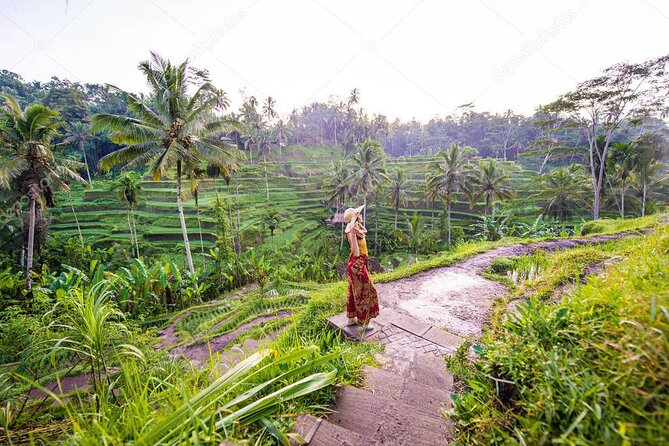 Bali Full-Day Sightseeing Trip with Lunch - Key highlights (the stuff that matters)