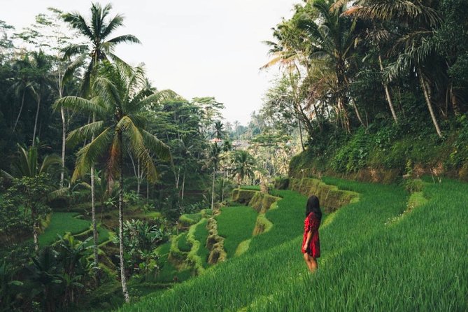 Bali Full-Day Sightseeing Trip with Lunch - Tegenungan Waterfall: jungle views, and the choice to get closer