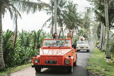 Bali Full-Day The Gate of Heaven Tour by VW Safari Classic Car - Tirta Gangga Water Palace: Royal Layout, Easy Timing