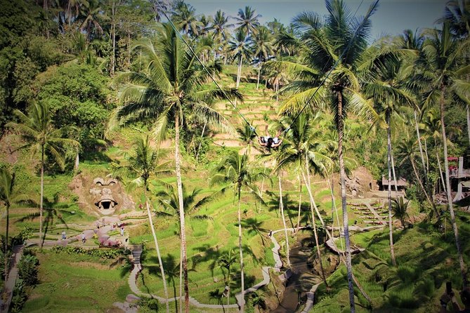 Bali Full Day Tour | Individual Route in Bali | Bali Guide | Free Wi-Fi - Ubud classics: Sacred Monkey Forest, Tegalalang Rice Terrace, Tirta Empul