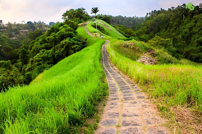 Bali Full Day-Tour: Ubud Sightseeing Trip - Campuhan Ridge Walk: a short stroll with real payoff