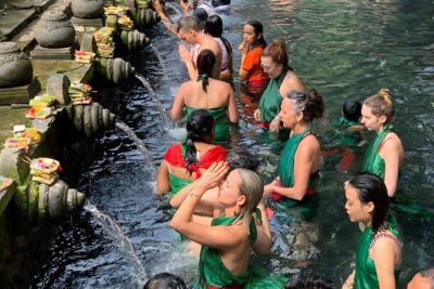 Bali Full Day-Tour: Ubud Sightseeing Trip - Sacred Monkey Forest Sanctuary: 400+ macaques, up close