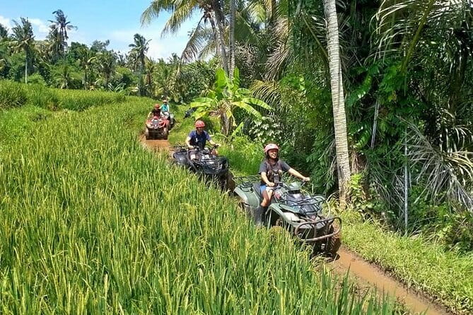 Bali Full-Day Tours : Waterfall and Ubud Destination Trip - Stop 2: Tegalalang Rice Terrace and how to work the viewpoints