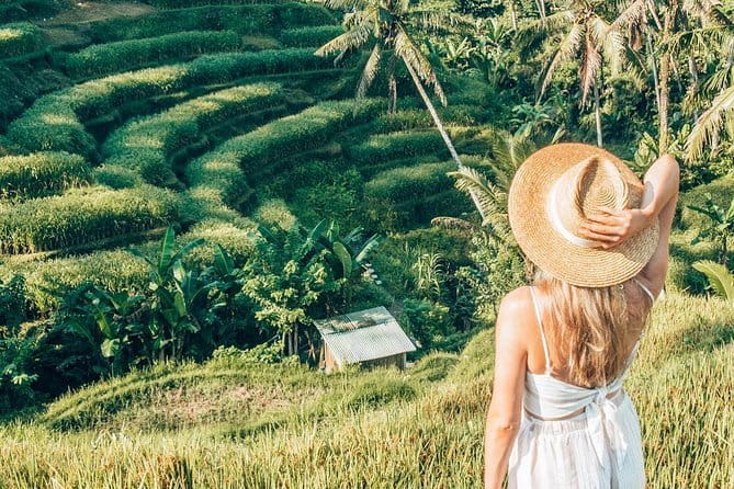 Bali Full-Day Tours : Waterfall and Ubud Destination Trip - Stop 5: Ubud Royal Palace (Puri Saren) for the free entry hour