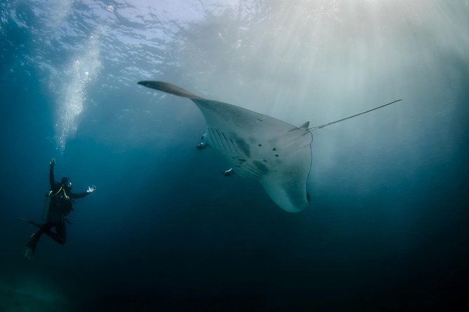 Bali Hai - Reef Cruise - Key highlights you’ll care about