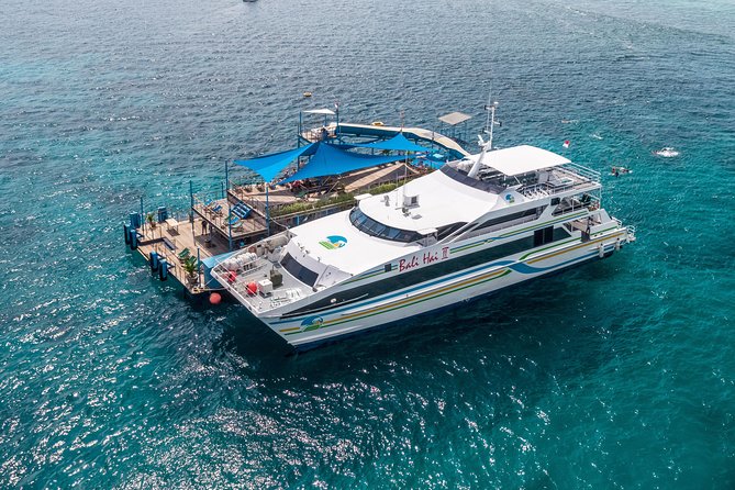 Bali Hai - Reef Cruise - Semi-Submersible Coral Viewing: Reef Time Without the Skills Test