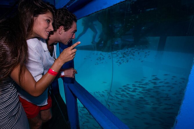 Bali Hai - Reef Cruise - Optional Add-Ons: Parasailing and Scuba Programs (Choose Your Comfort Level)