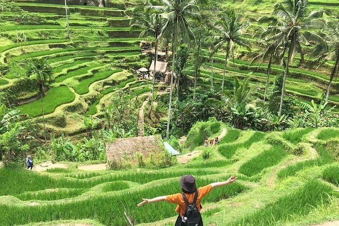 Bali Highlight Private Packages Tours 3 Days - Why This 3-Day Private Bali Route From Seminyak Feels Easier