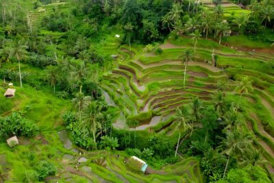 Bali Horse Riding Activity and Full-Day Trip in Ubud - Getting there from Seminyak and south Bali without the route stress
