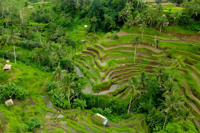 Bali Horse Riding Activity and Full-Day Trip in Ubud - Getting there from Seminyak and south Bali without the route stress