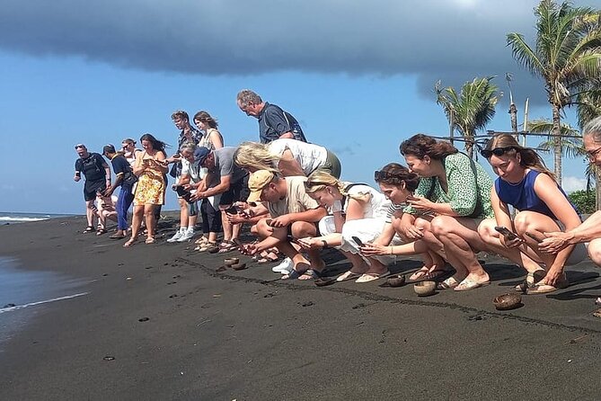 Bali Horse Riding and Turtle Release at Saba Beach - Turtle Release at Saba Asri Turtles Conservation: the point of the whole day