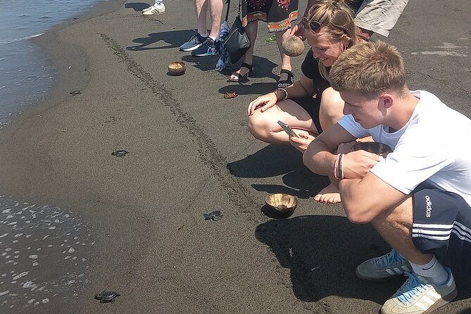 Bali Horse Riding and Turtle Release at Saba Beach - Getting There From Seminyak: pickup, private-group pacing, and air-conditioned sanity