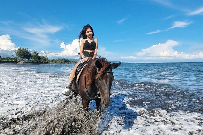 Bali Horse Riding and Turtle Release at Saba Beach - Should You Book This Bali Horse Riding and Turtle Release Day?