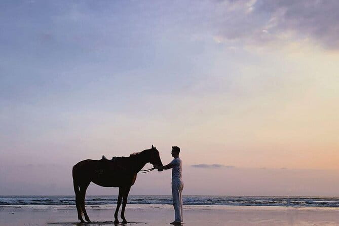 Bali Horse Riding Sanur Beach include Transport - Who Should Book This Bali Horse Riding Sanur Beach Trip