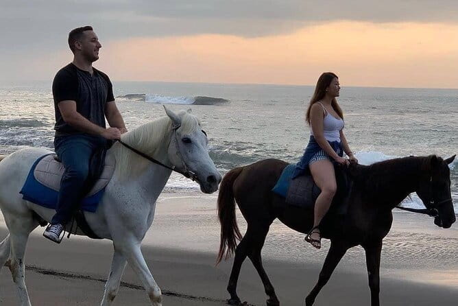 Bali Horse Riding Seminyak Beach Experience Private Transport - Key things I’d focus on before you go