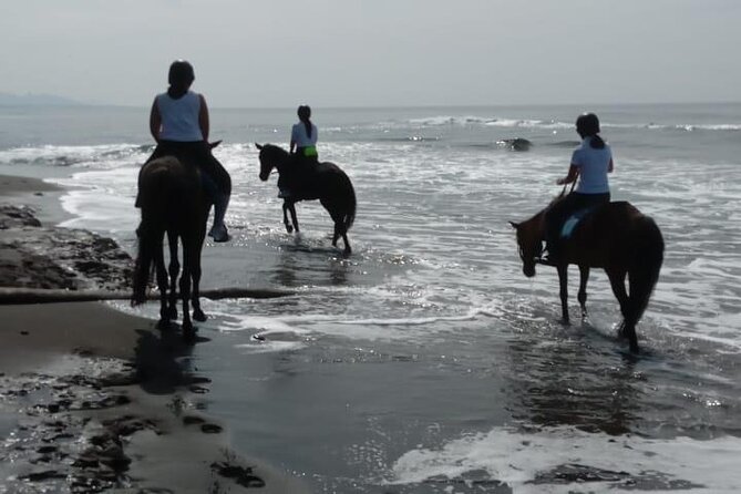 Bali Horse Riding Trot & Canter Saba Beach with Local Temple - Safety setup: helmets, handlers, and the 90 kg limit