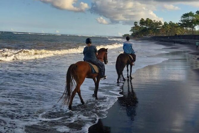 Bali Horse Riding Trot & Canter Saba Beach with Local Temple - Photos and videos: how you’ll end up with good shots