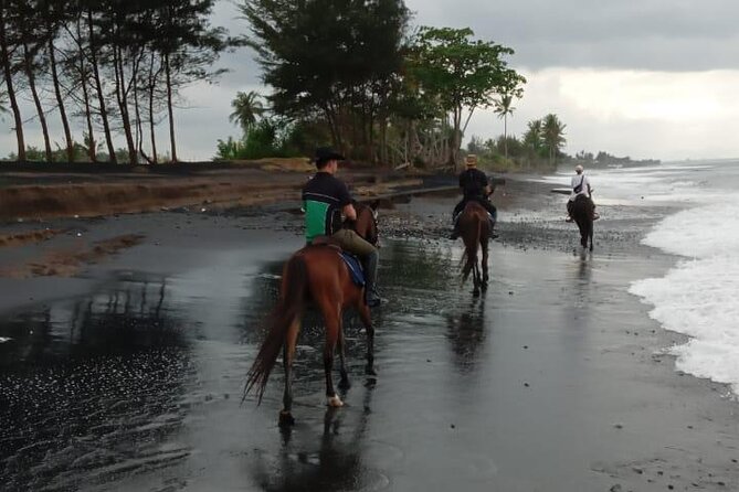 Bali Horse Riding Trot & Canter Saba Beach with Local Temple - Who this Bali horseback ride is best for